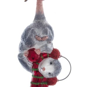 Opossum
