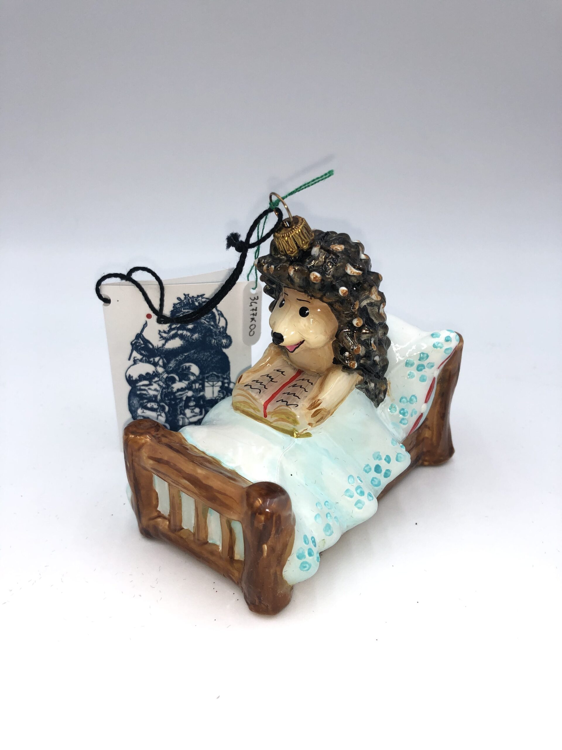 Sleeping Hedgehog
